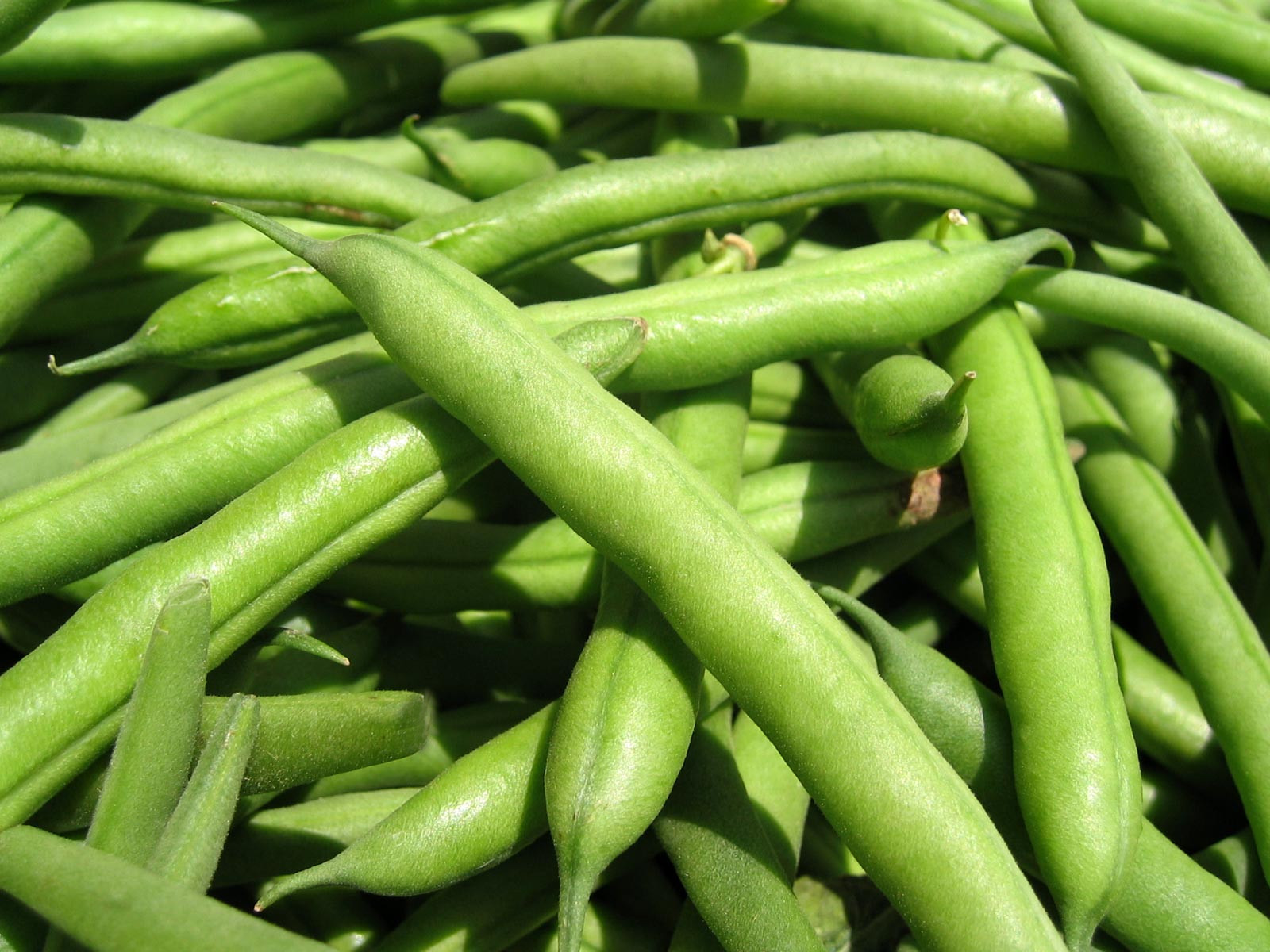IQF frozen green beans