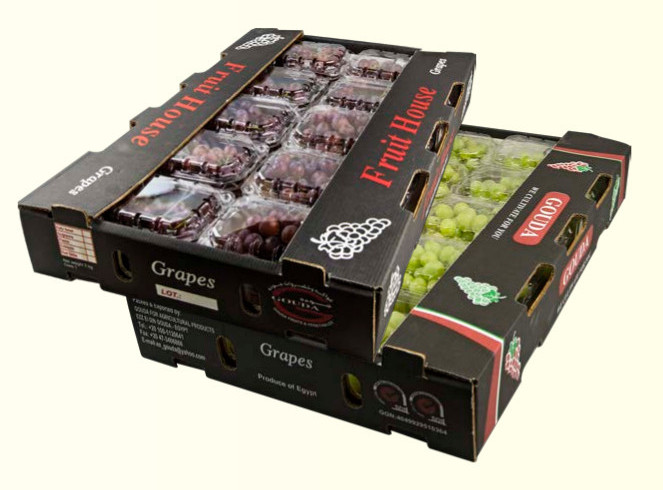 FRUIT HOUSE and GOUDA brand grapes cartons stacked